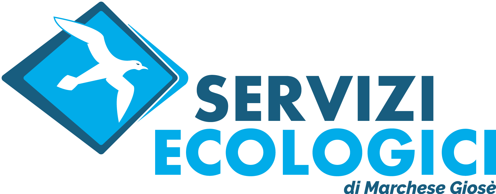 servecomarchese.it